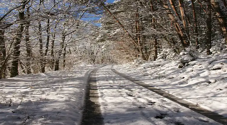 Ferielejlighed i Hüttenthal