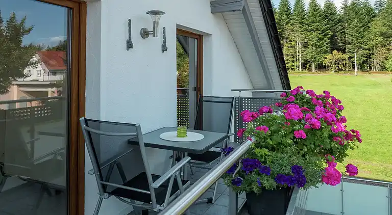 Ferielejlighed i Kniebis