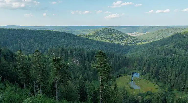 Ferielejlighed i Kniebis