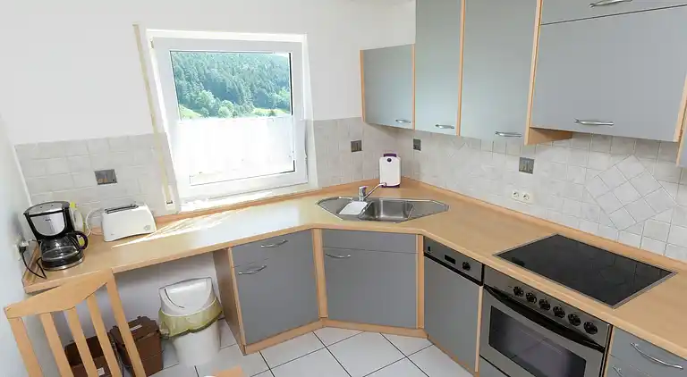 Apartment in Baiersbronn