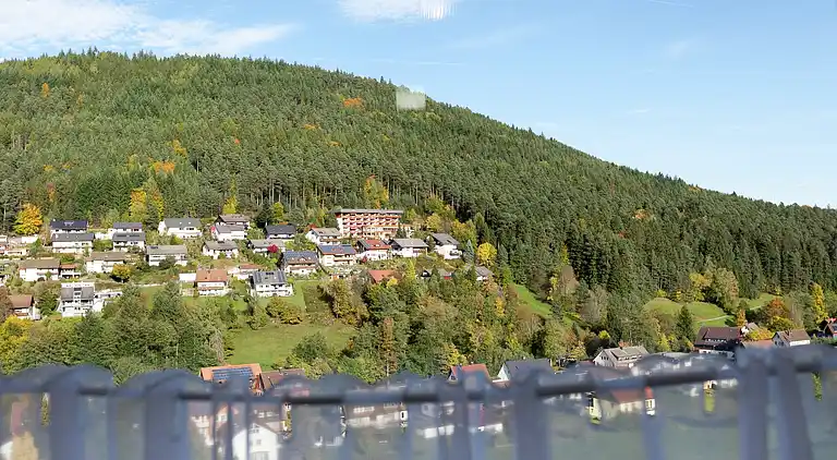 Apartment in Baiersbronn