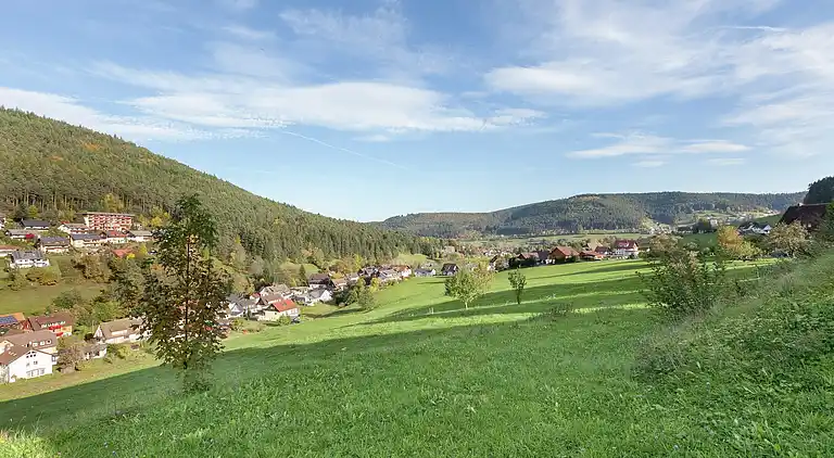 Apartment in Baiersbronn