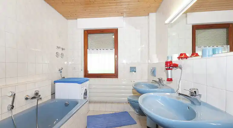 Apartment in Obertal