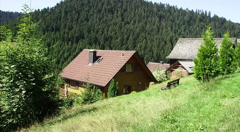 Sommerhus i Reinerzau