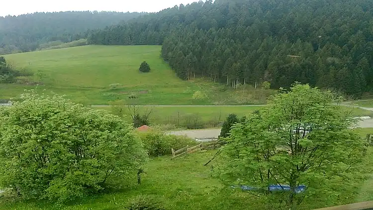 Sommerhus i Reinerzau