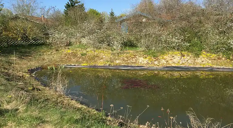 Feriebolig i Hayingen