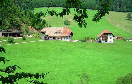 Ferienwohnung in Bollenbach