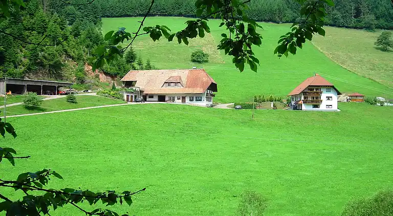 Ferielejlighed i Bollenbach