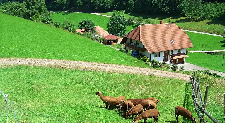 Ferielejlighed i Bollenbach