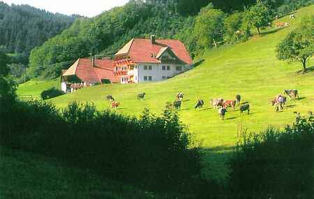 Ferienwohnung in Bollenbach