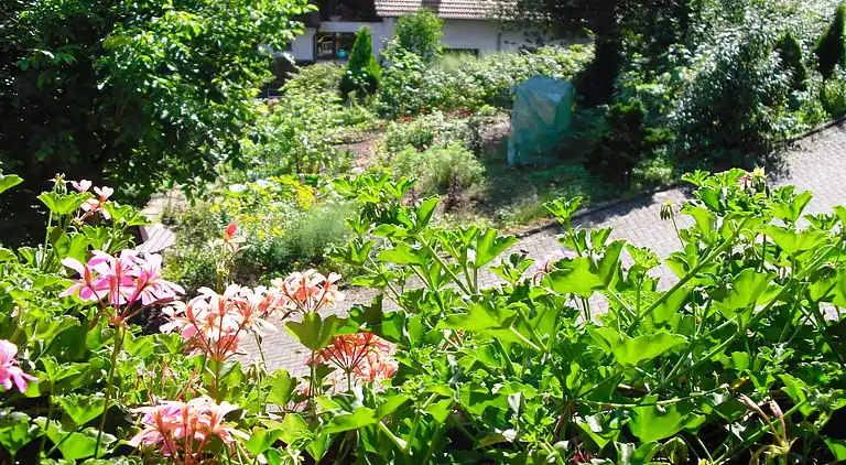 Ferienwohnung in Schwarzwald