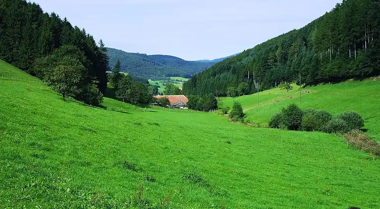 Ferienwohnung in Schwarzwald