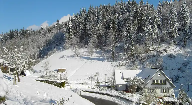 Ferielejlighed i Lierbach