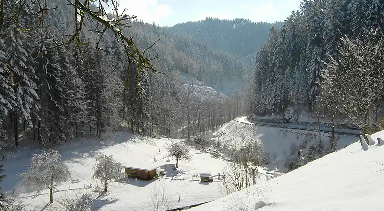 Ferielejlighed i Lierbach