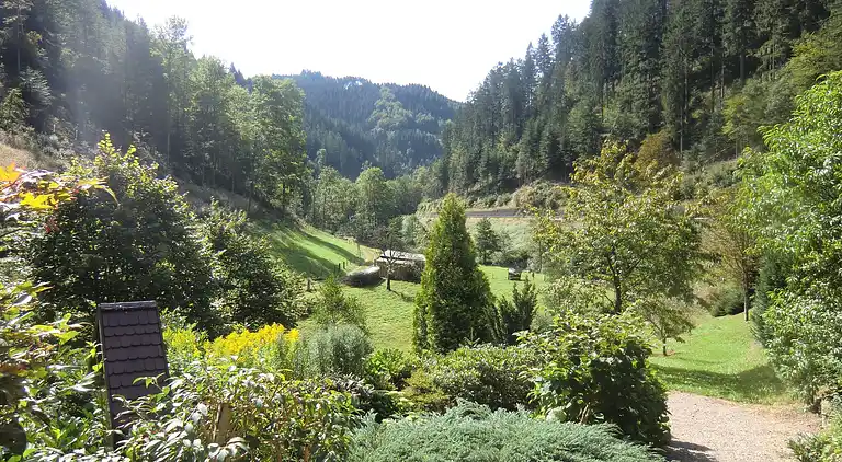 Apartment in Lierbach