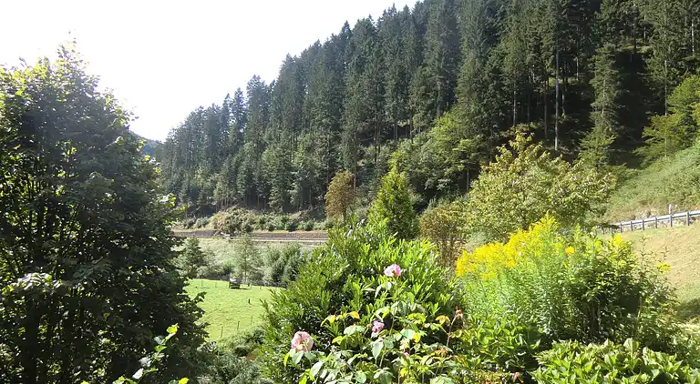 Apartment in Lierbach