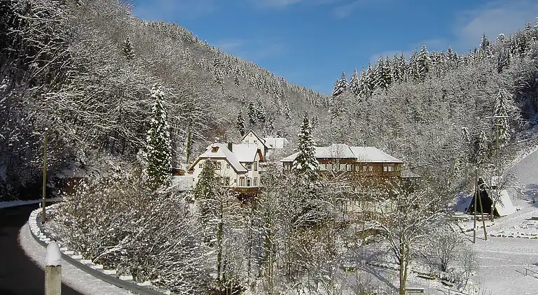 Apartment in Lierbach