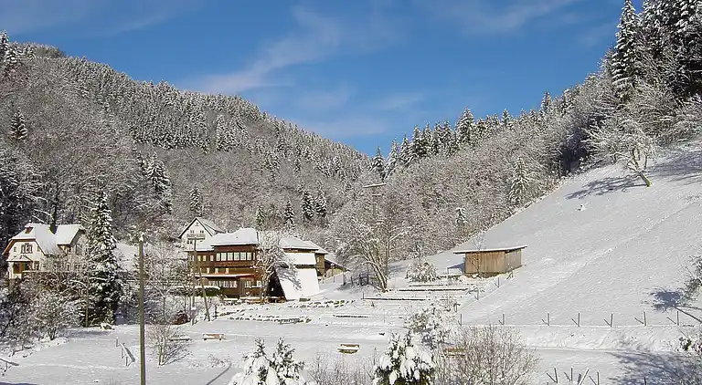 Apartment in Lierbach