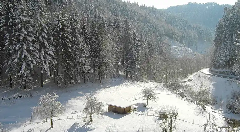 Apartment in Lierbach