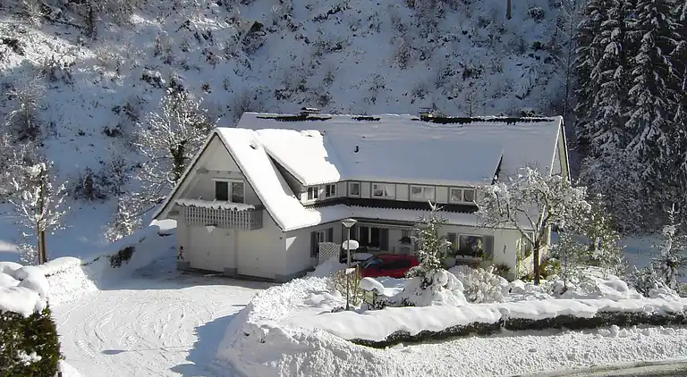 Apartment in Lierbach