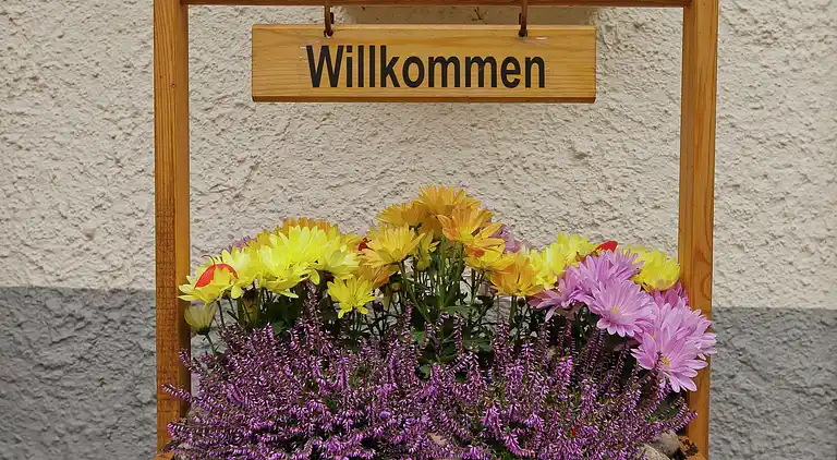 Apartment in Lierbach