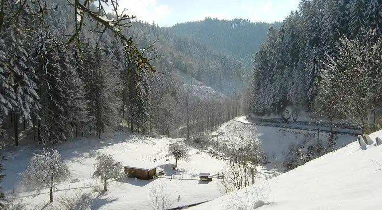 Apartment in Lierbach