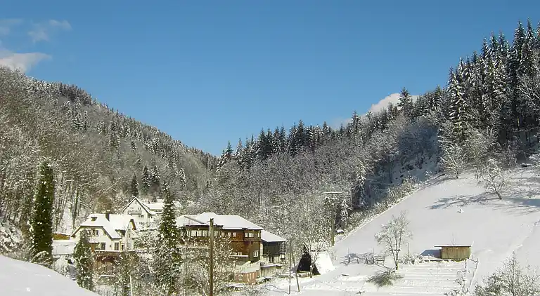 Apartment in Lierbach