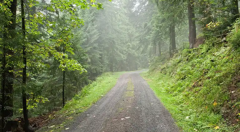 Apartment in Lierbach