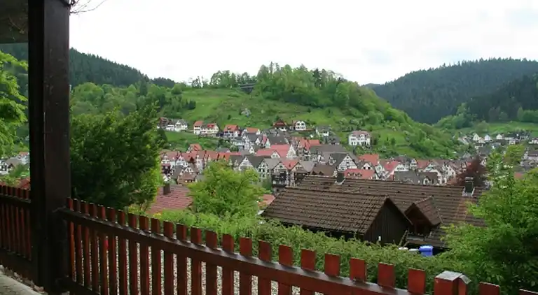 Apartment in Schiltach