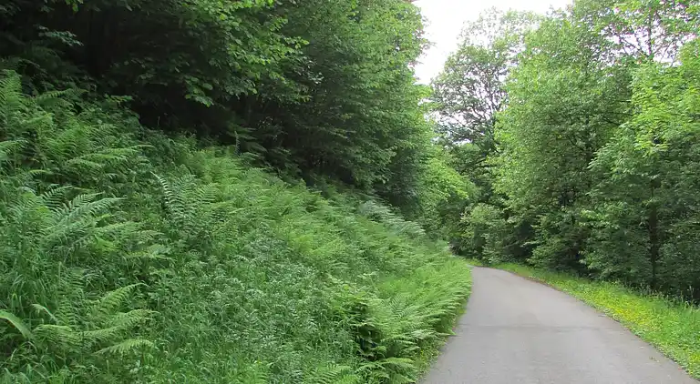 Apartment in Schiltach