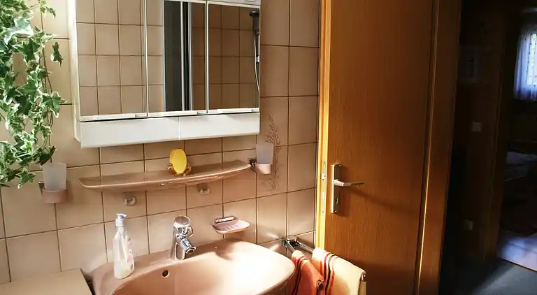 Apartment in Schiltach