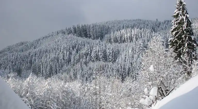 Farm house in Bad Rippoldsau-Schapbach