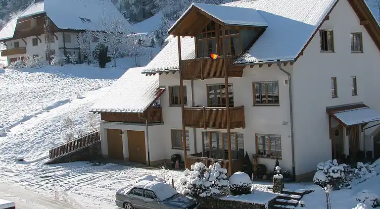 Apartment in Bad Rippoldsau-Schapbach