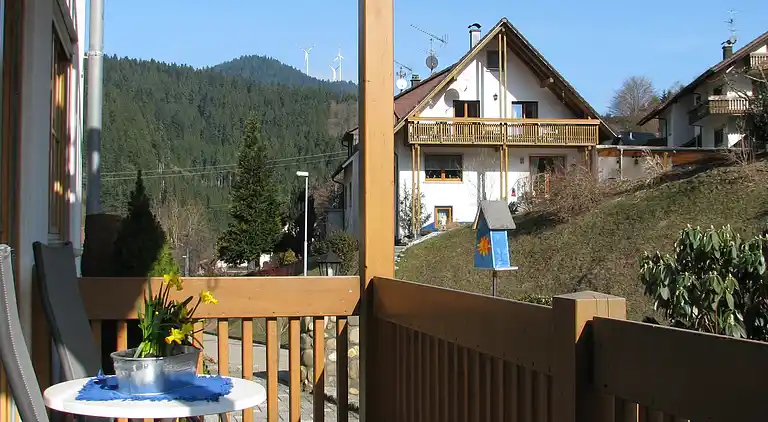 Apartment in Bad Rippoldsau-Schapbach