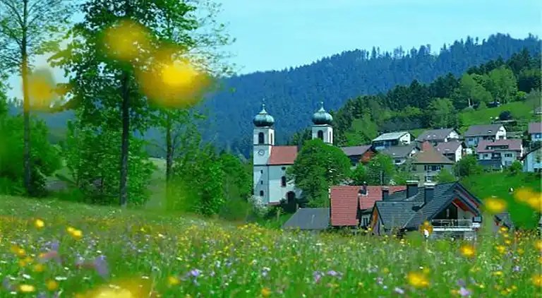 Apartment in Bad Rippoldsau-Schapbach