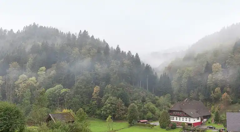 Ferielejlighed i Bad Rippoldsau-Schapbach