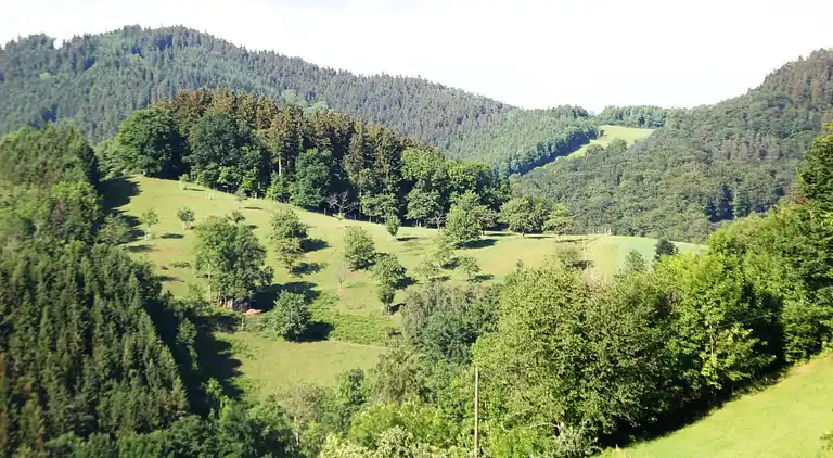 Gårdhus i Mühlenbach