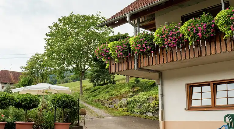 Gårdhus i Dörlinbach