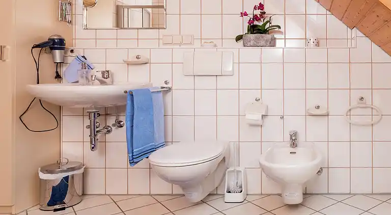 Gårdhus i Dörlinbach