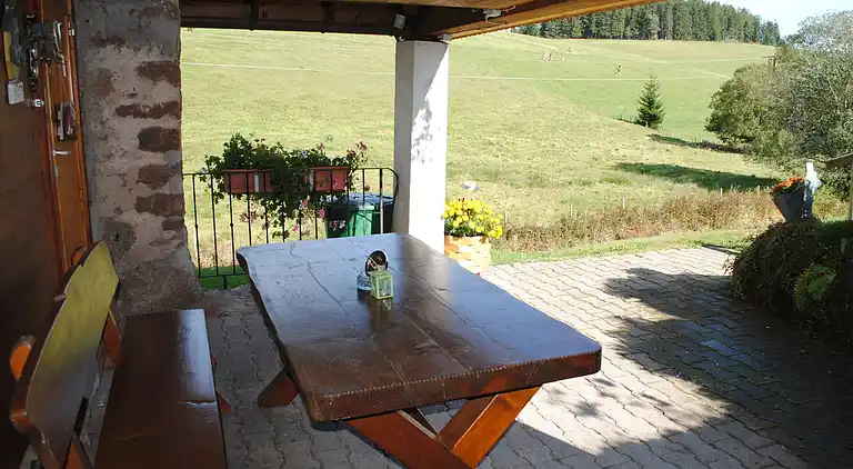 Vakantiehuis in Brigach