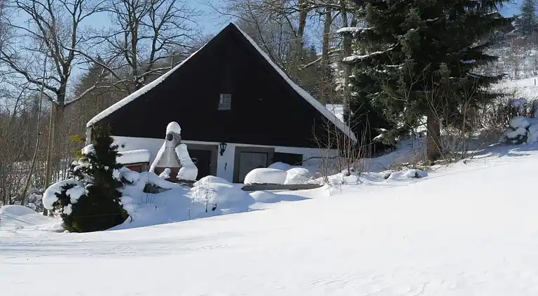 Vakantiehuis in Brigach