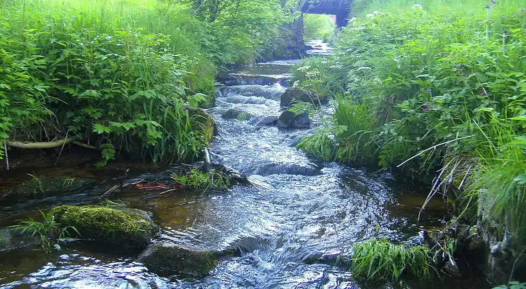 Vakantiehuis in Brigach