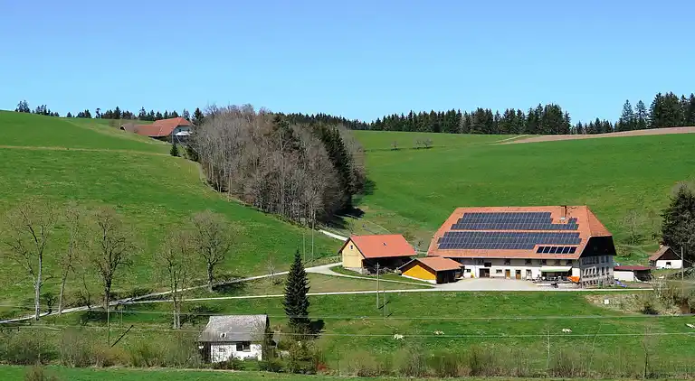 Vakantiehuis in Brigach