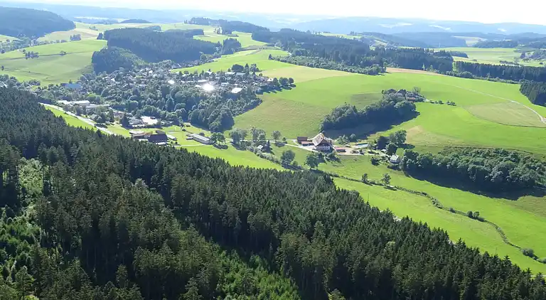 Vakantiehuis in Brigach