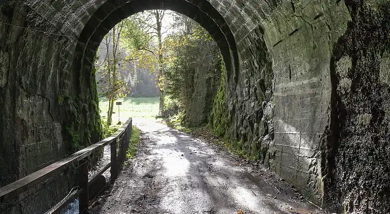 Ferielejlighed i Schonach im Schwarzwald