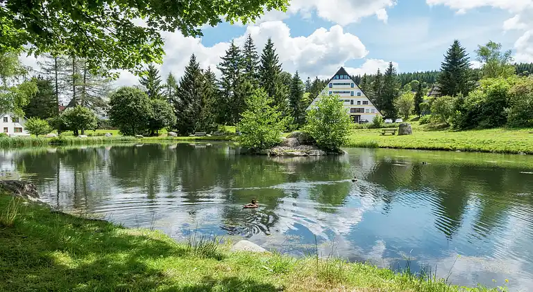 Ferielejlighed i Schönwald im Schwarzwald