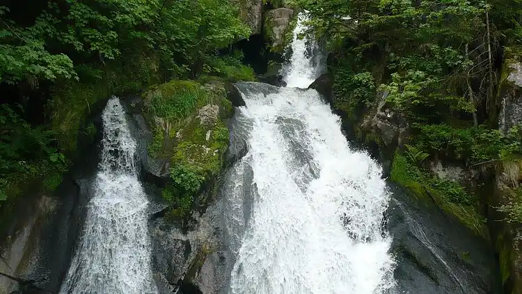 Ferielejlighed i Schönwald im Schwarzwald