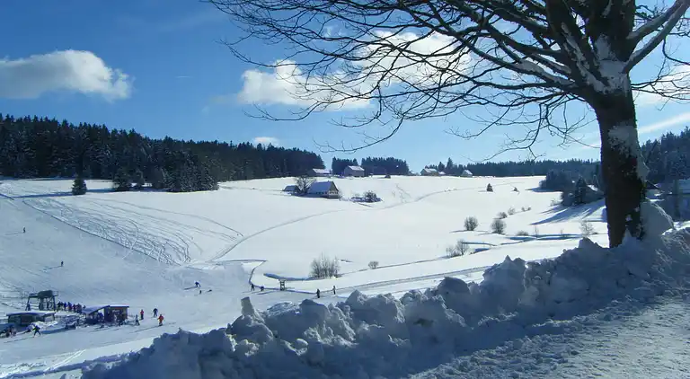 Ferielejlighed i Schönwald im Schwarzwald