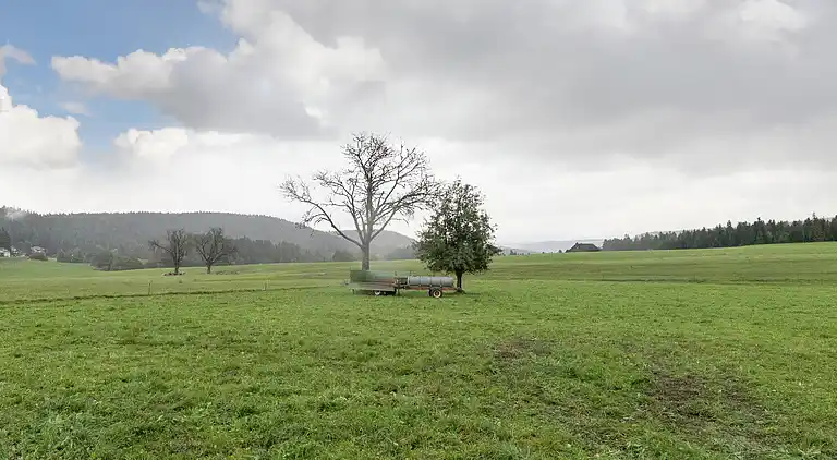 Ferielejlighed i Fohrenbühl