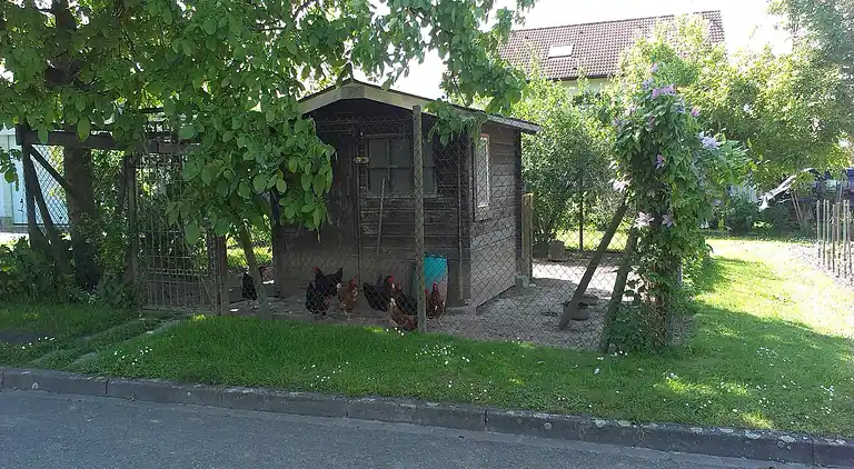 Ferielejlighed i Bischoffingen